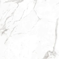 800*800*10 Gres Mont blanc polished (2/1,28)